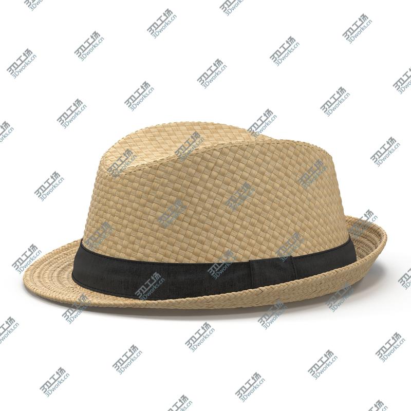 images/goods_img/2021040234/Mens Straw Hat/2.jpg